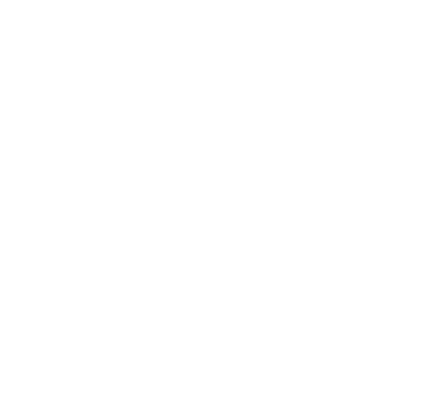 Synergy Solutions Dealer